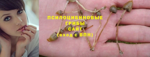 2c-b Елабуга