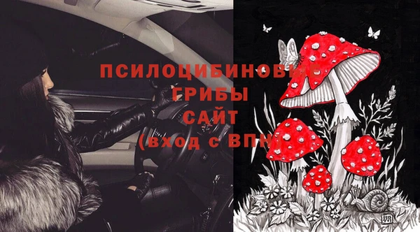 2c-b Елабуга