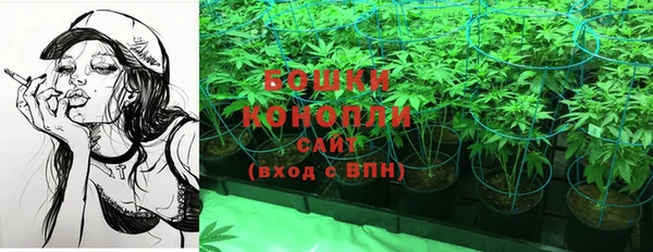 2c-b Елабуга