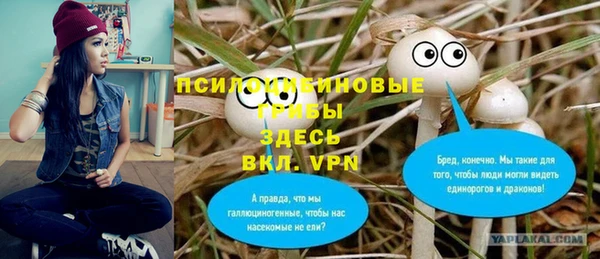 spice Ельня