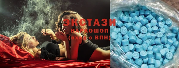spice Ельня