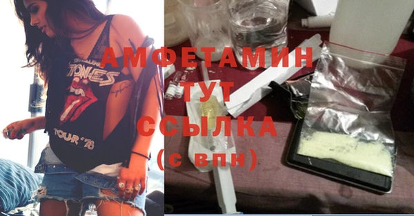 spice Ельня