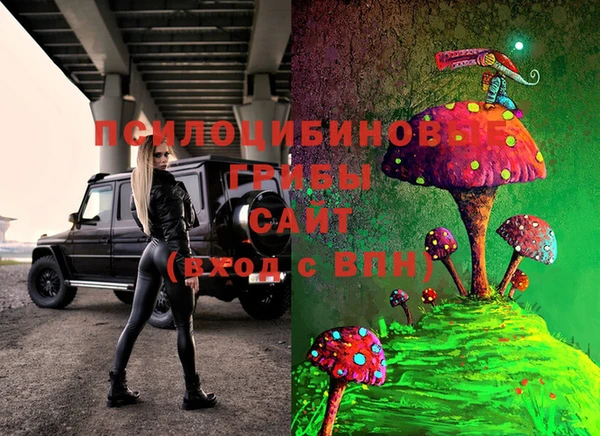 2c-b Елабуга