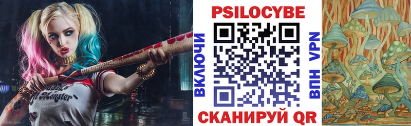 Купить где  Чкаловск  Псилоцибиновые грибы ЛСД 